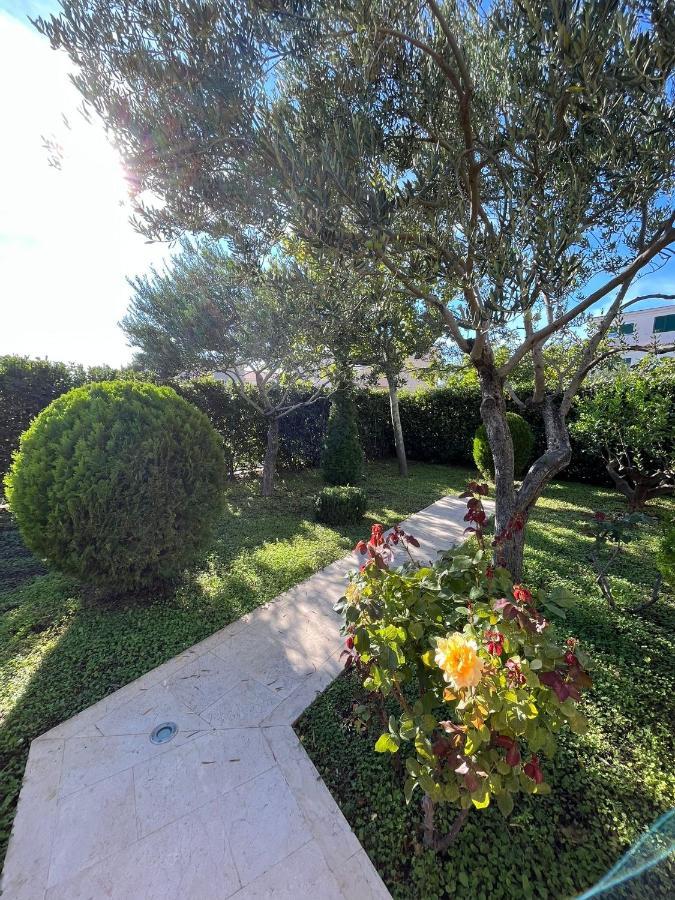 Apartman Stipic 1 Baška Voda Dış mekan fotoğraf