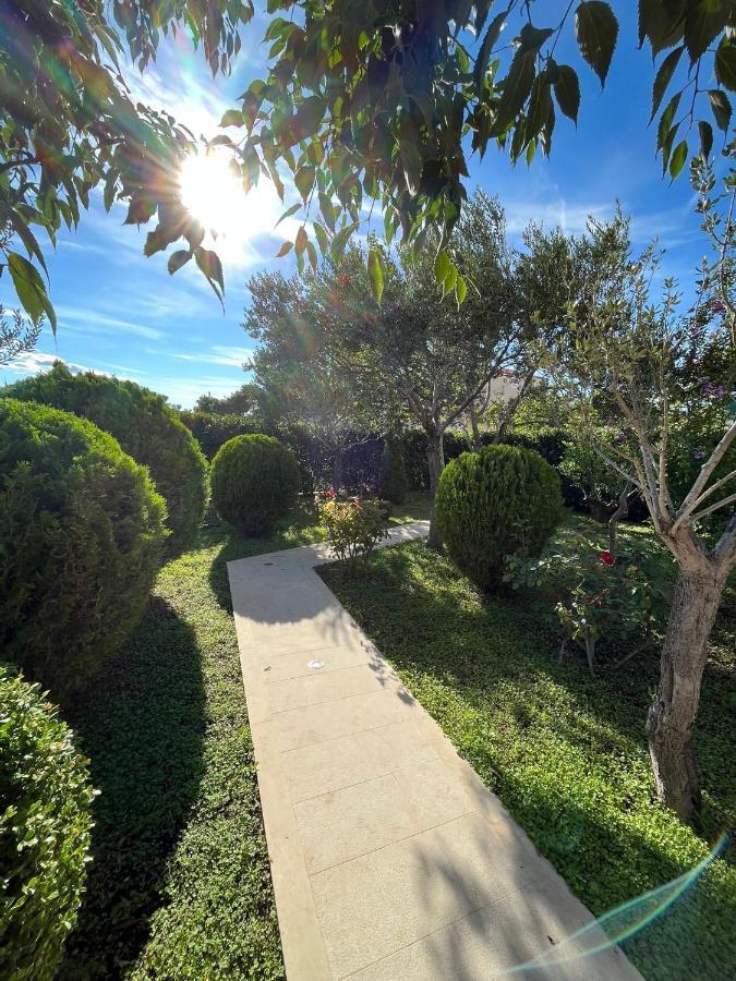 Apartman Stipic 1 Baška Voda Dış mekan fotoğraf