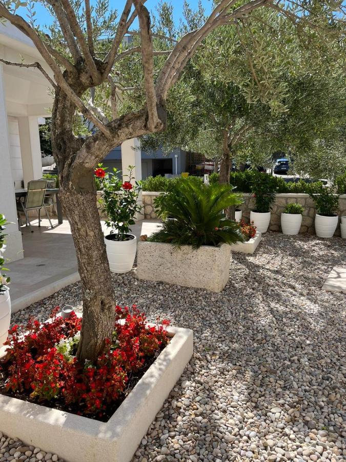 Apartman Stipic 1 Baška Voda Dış mekan fotoğraf