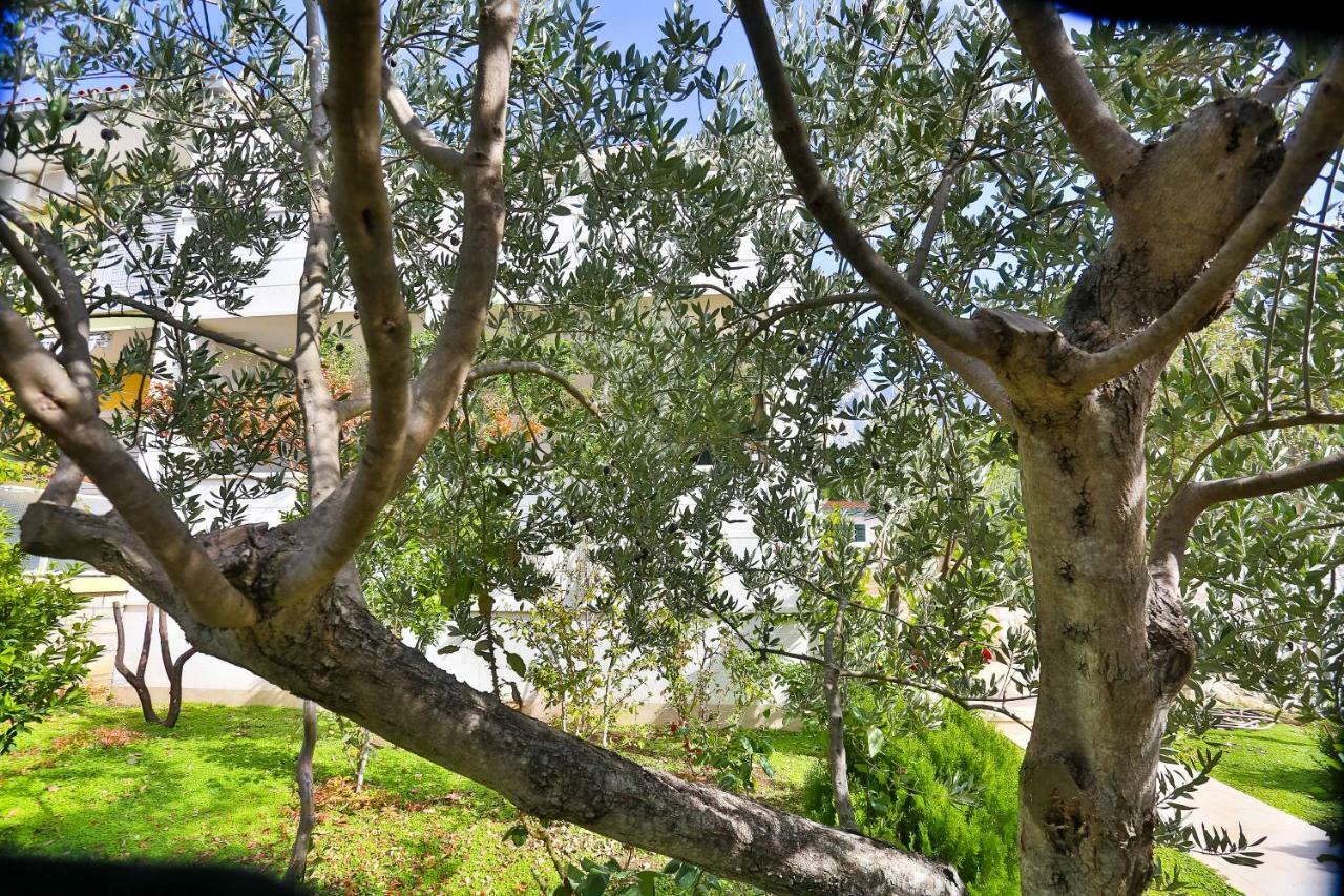Apartman Stipic 1 Baška Voda Dış mekan fotoğraf